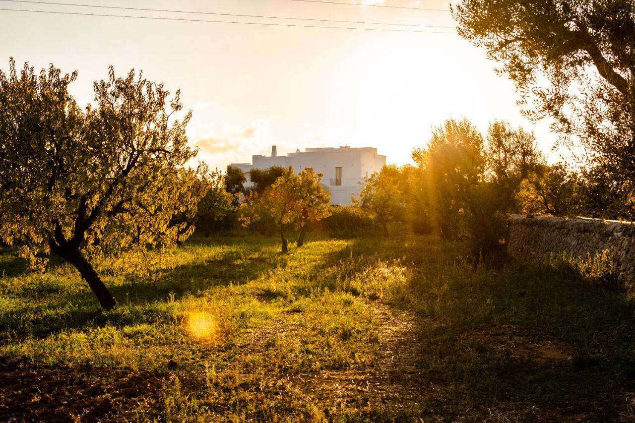 Masseria D'Erchia Монополи Экстерьер фото